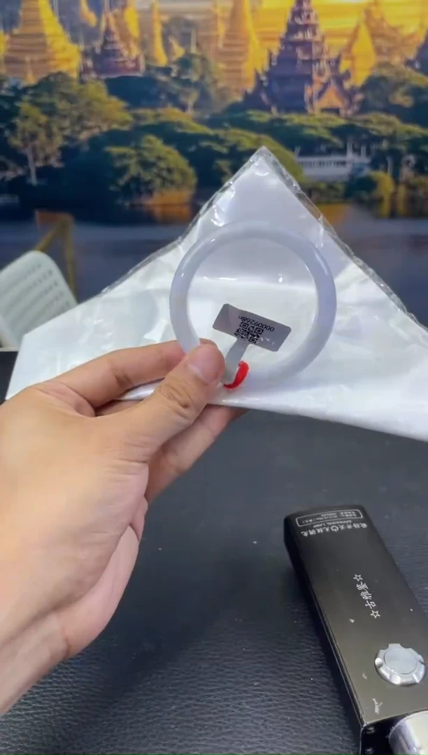 未镶嵌手镯翡翠9