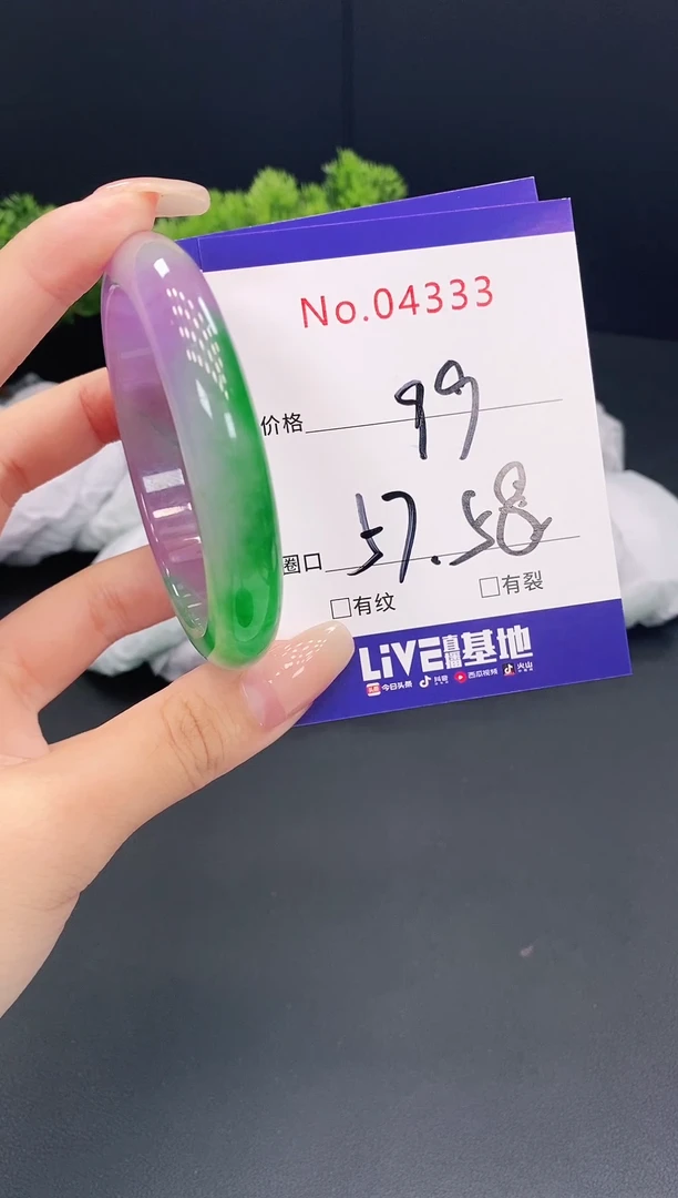 未镶嵌手镯翡翠4333