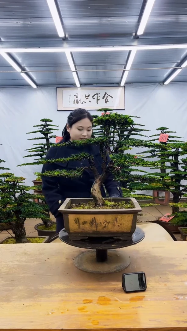 无花朵一物一拍·所见即所得