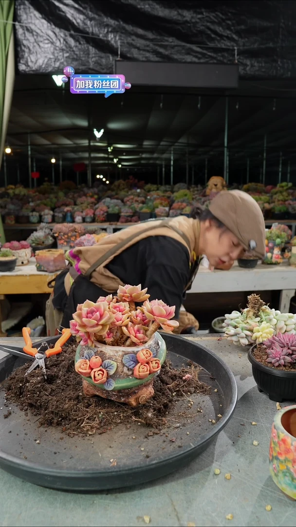 圊****懷169号        一套