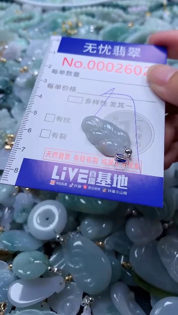 翡翠未镶嵌吊坠(不含链)2602