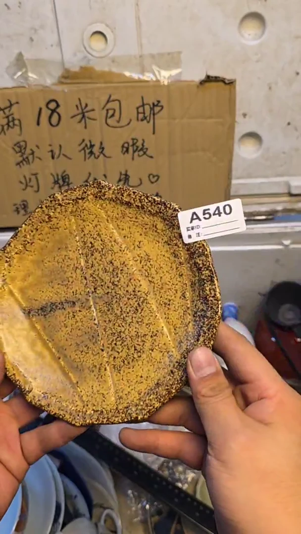 瓷片守**光瓷器A540