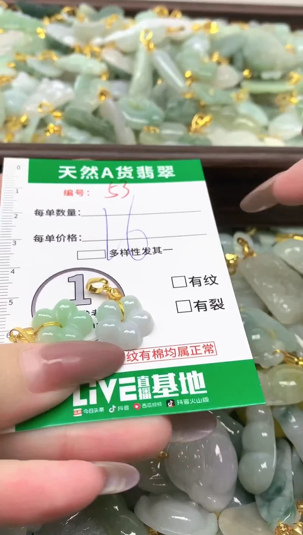 颈饰未镶嵌翡翠纯天然缅甸A货翡翠-53