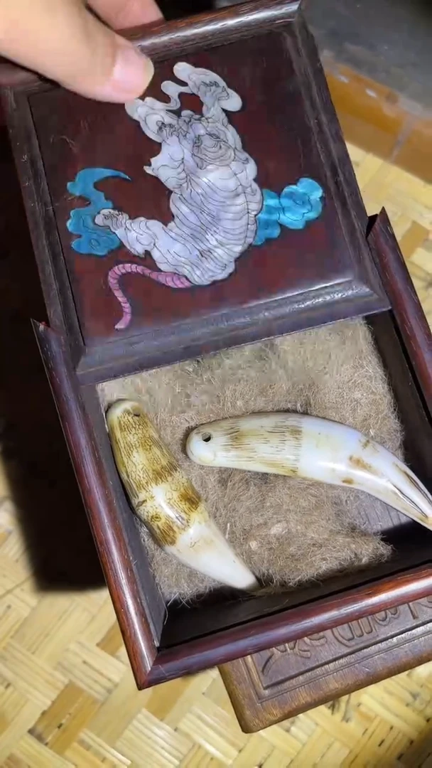 木哈哈哈哈哈哈哈哈哈哈