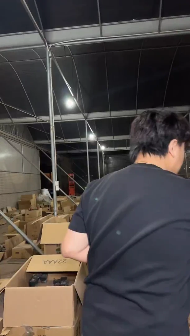 双头 白小丁【实生根】