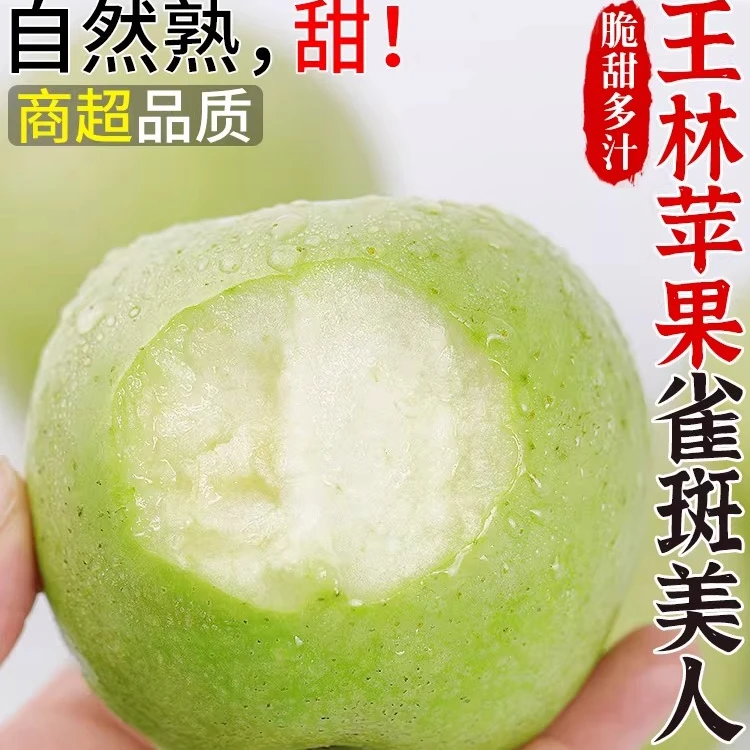 正宗王林苹果雀斑美人新鲜水果应当季现摘脆甜青森丑萍果整箱包邮