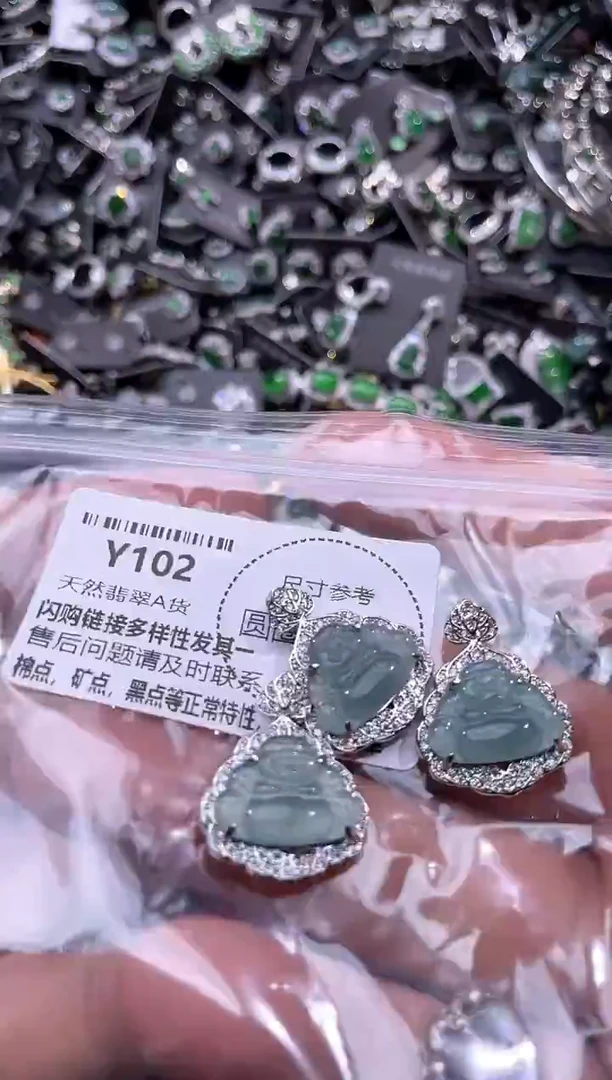 翡翠未镶嵌颈饰Y102多样性发其一