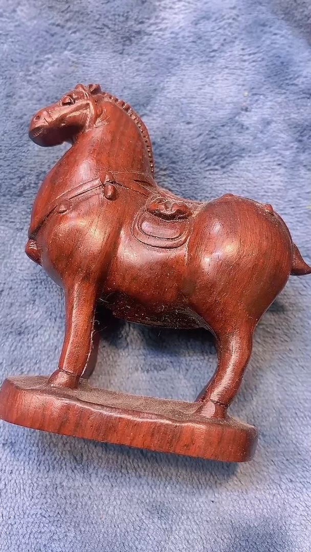 香榧木主播推荐人工养殖