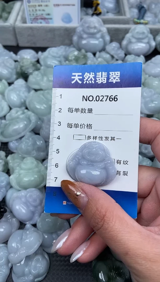 颈饰未镶嵌翡翠纯天然A货翡翠2766