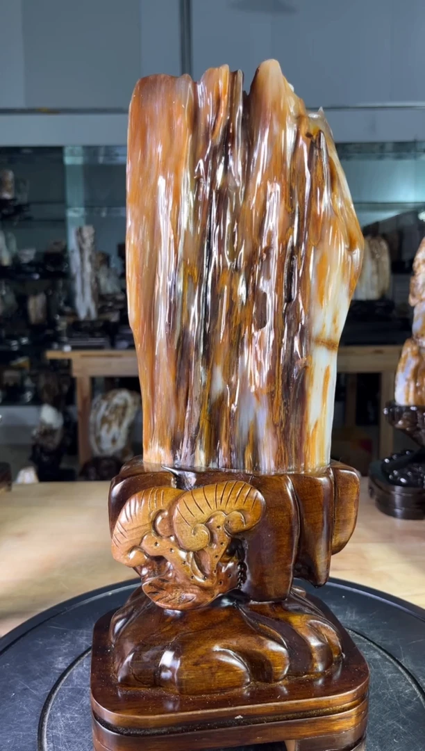 【闪购商品】硅化玉珠宝奇石未镶嵌1