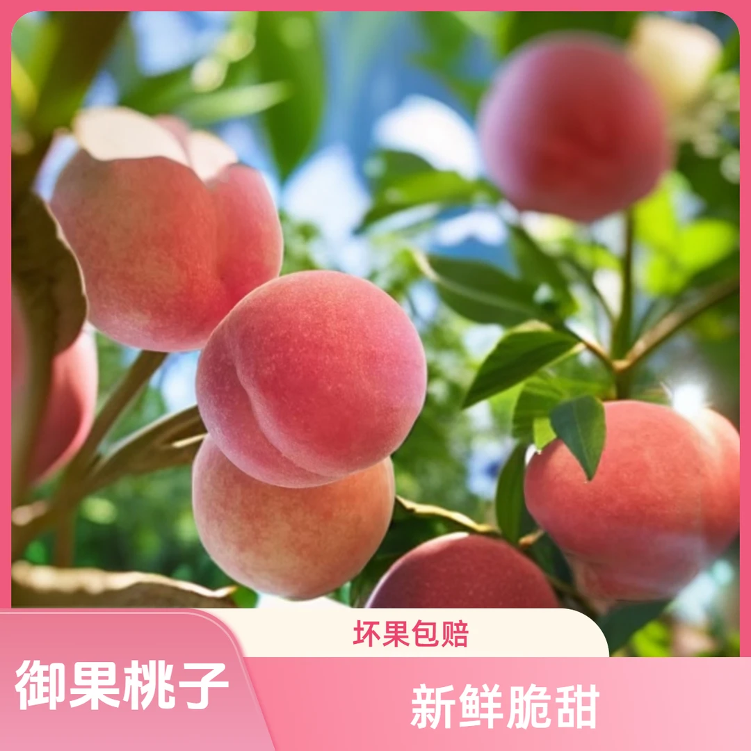 正宗露天生长水蜜桃新鲜现摘脆甜可口软硬两吃坏果包赔
