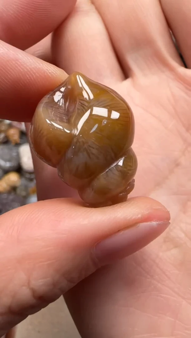 【闪购商品】硅化珊瑚（珊瑚玉）颈饰未镶嵌117