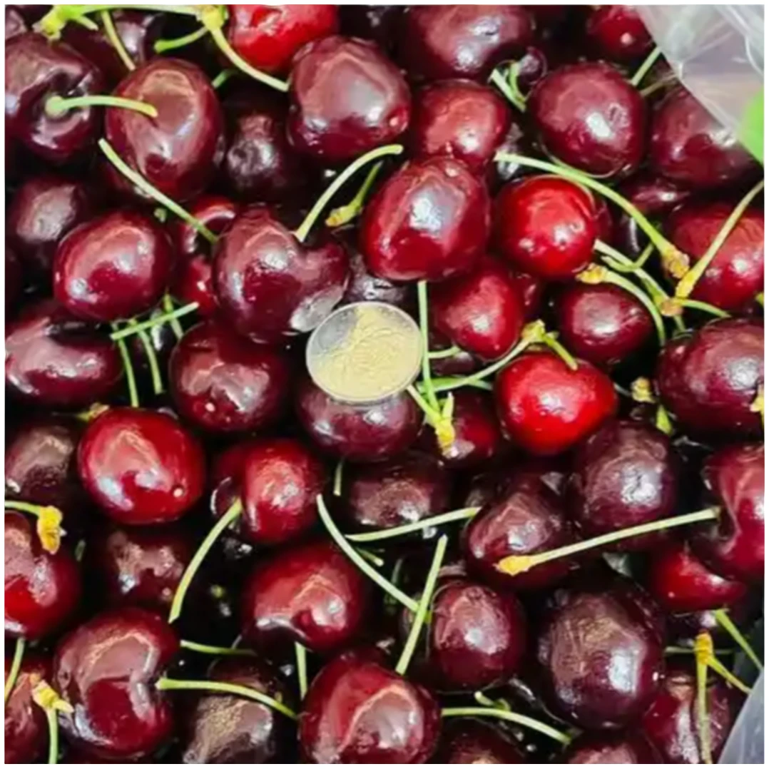XLD车厘子五斤进口车厘子