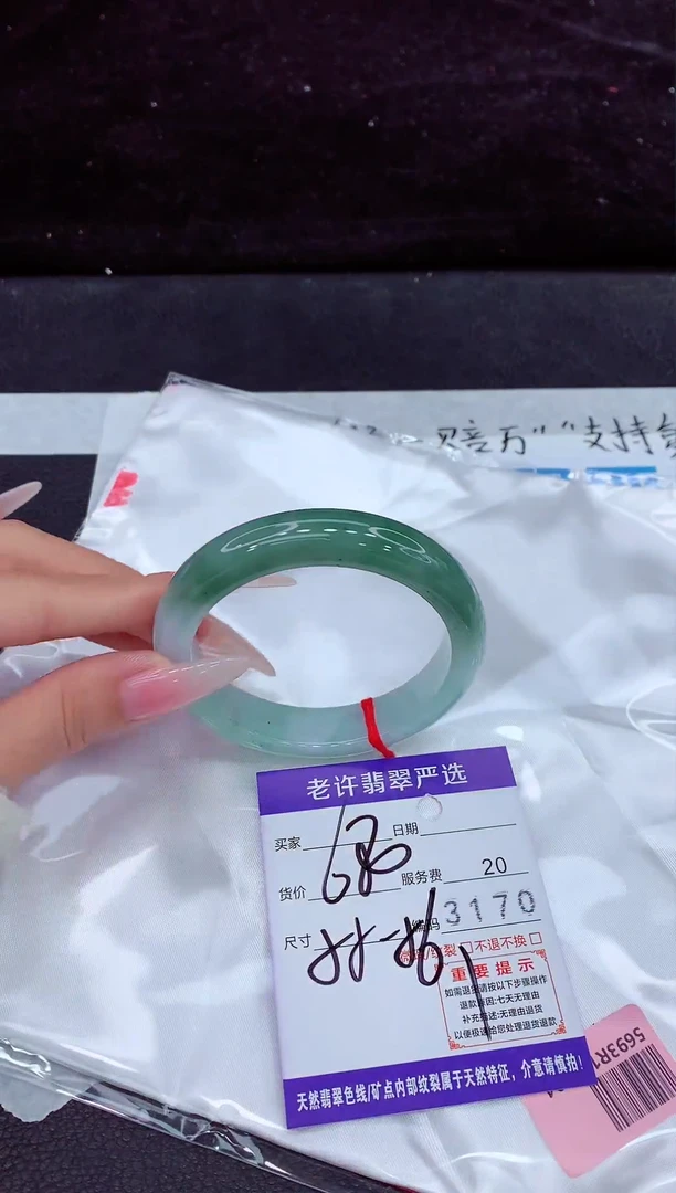 未镶嵌手镯翡翠1