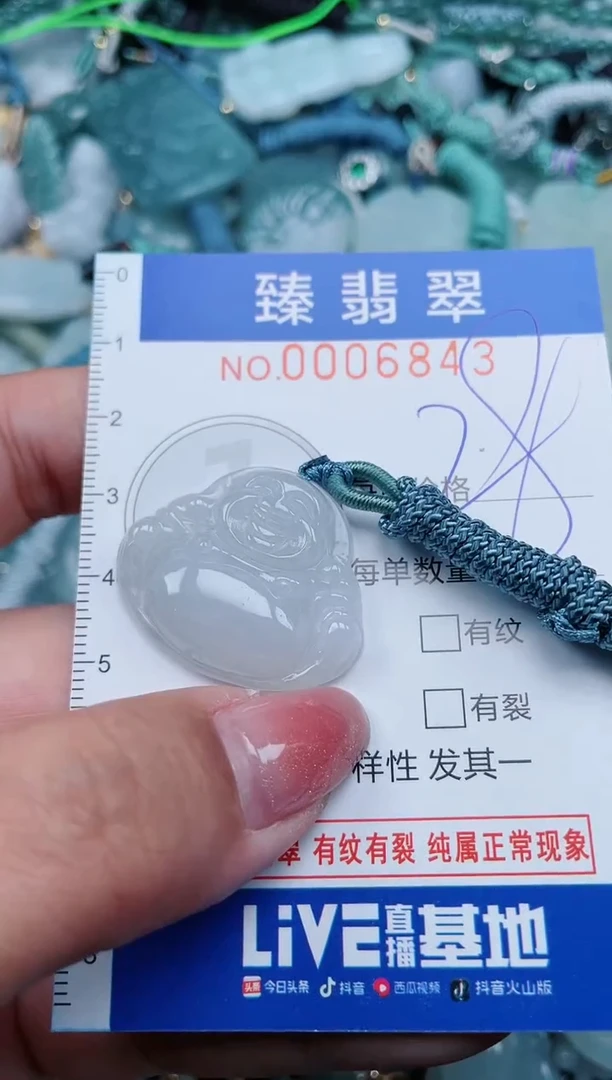 【闪购商品】翡翠颈饰未镶嵌.0006843