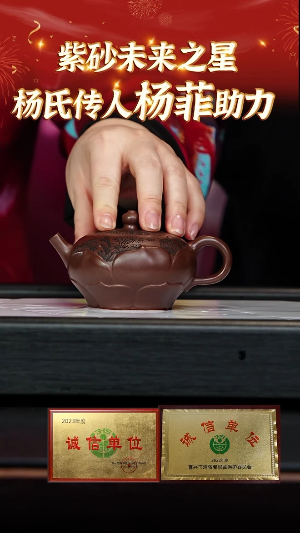 【闪购商品】紫砂茶壶47 杨菲老师专场  彭年紫泥