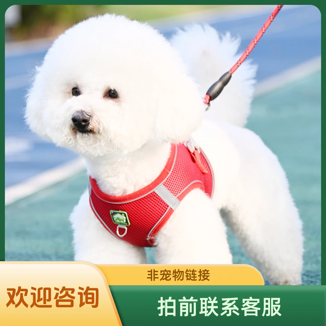 狗狗牵引绳非宠物链接拍前联系客服