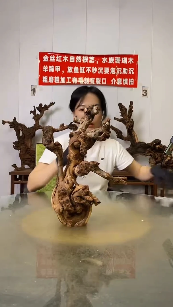 香榧木建**市金丝红木   羊蹄甲