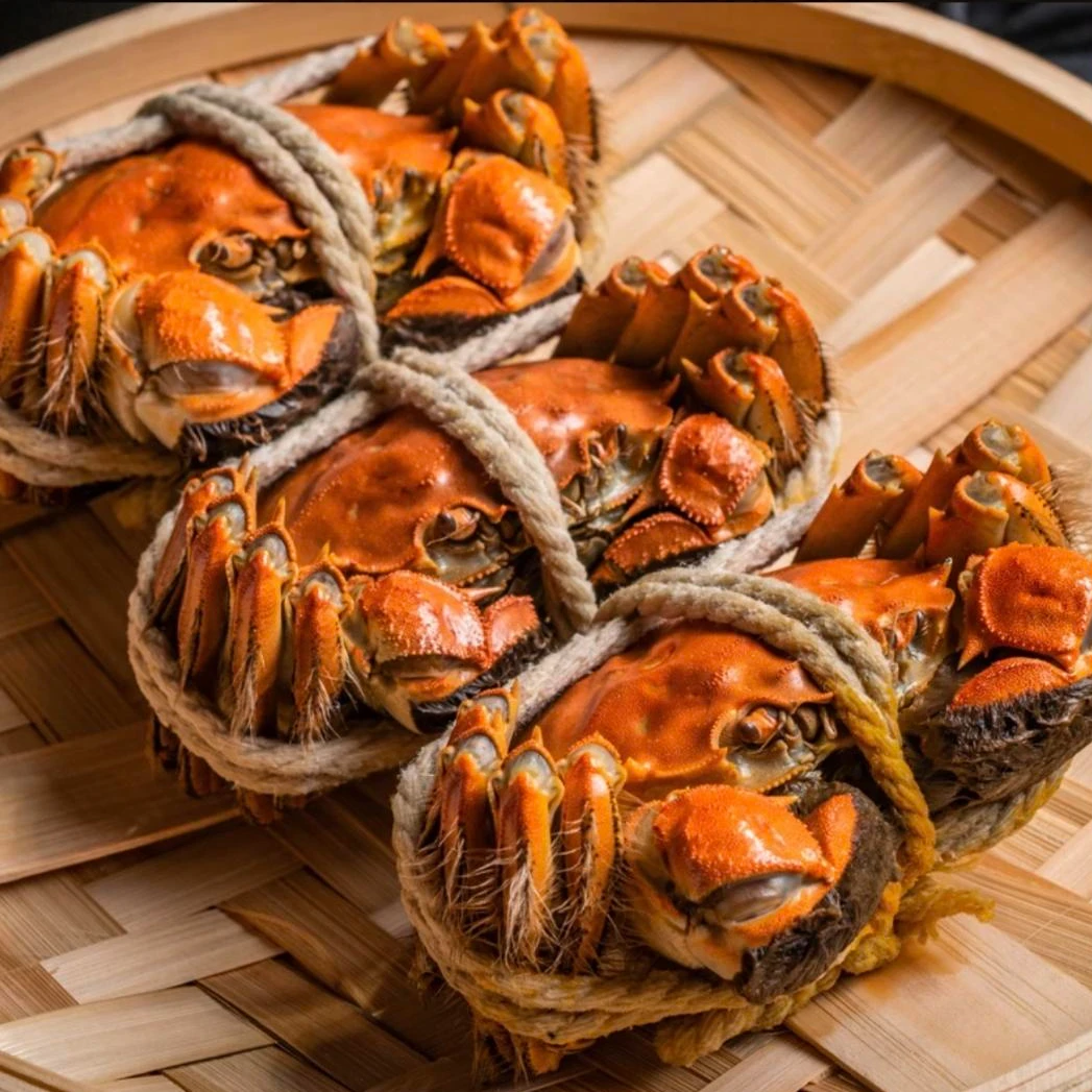 4.5两公3.5母 公母对半【国企严选】6/8/10只 江苏精品鲜活大闸蟹