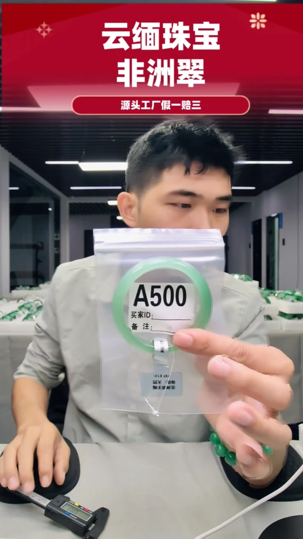 未镶嵌手镯石英质玉（非洲翠）58圈口A500