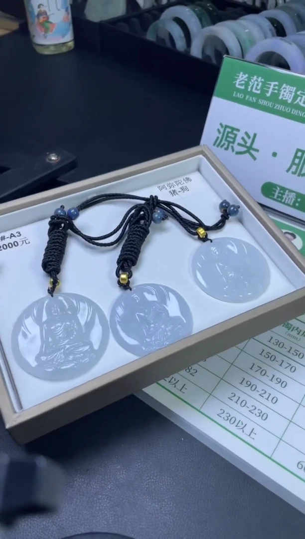 【闪购商品】翡翠颈饰未镶嵌W048-389#-A3多样性发一