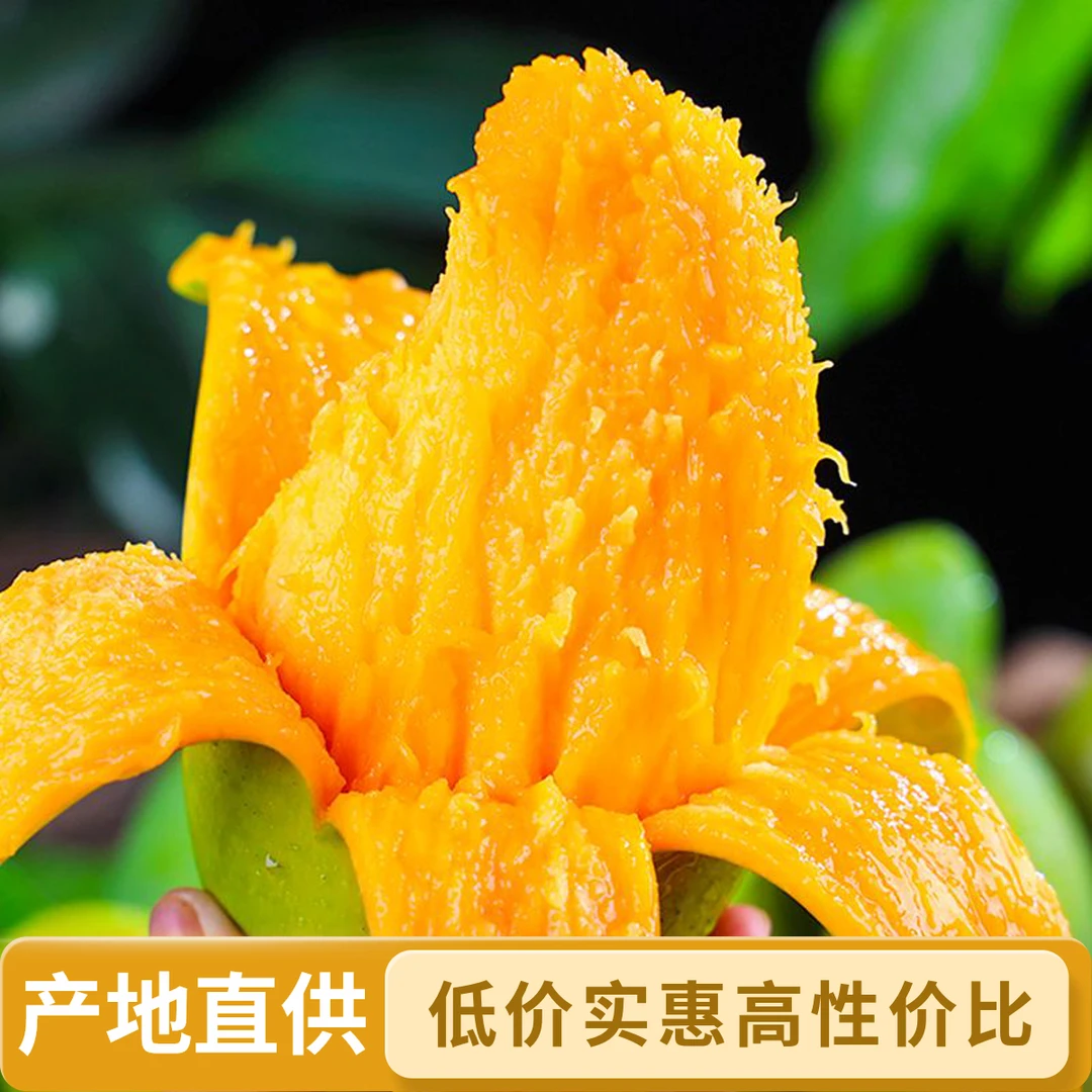 云南大澳芒青芒当季新鲜水果青皮特大芒果产地直供包邮