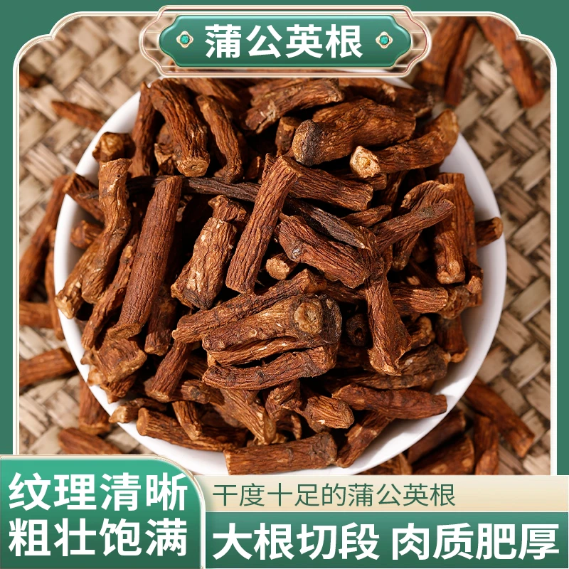 正品精选好料蒲公英根