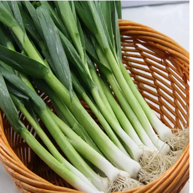 精品海蒜500g±20g/份