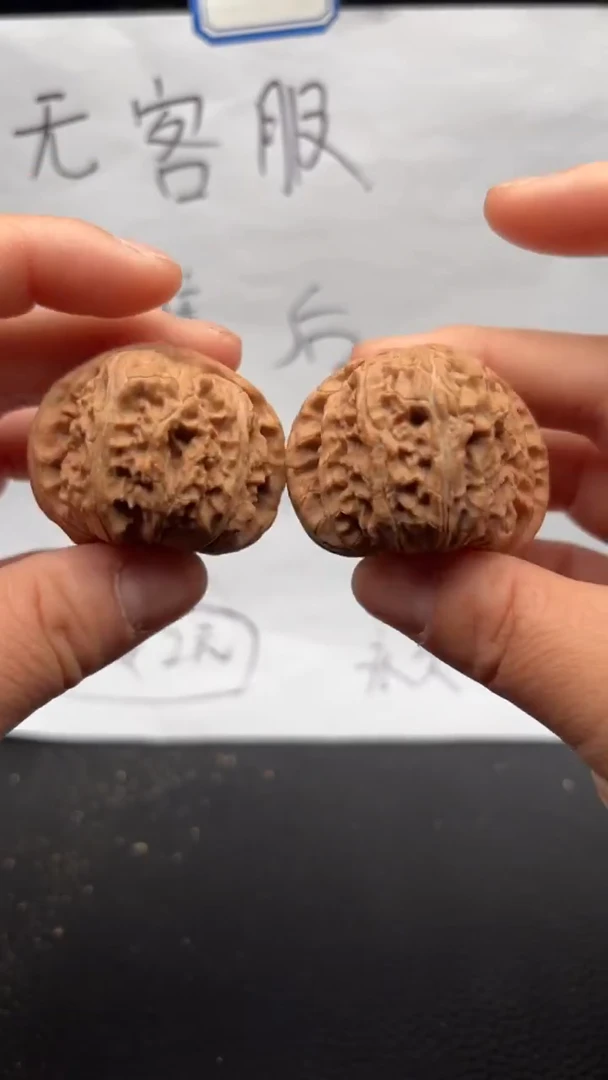 把件文玩核桃57白狮子