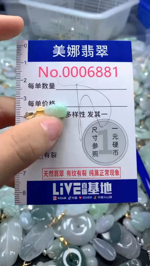 颈饰未镶嵌翡翠6881