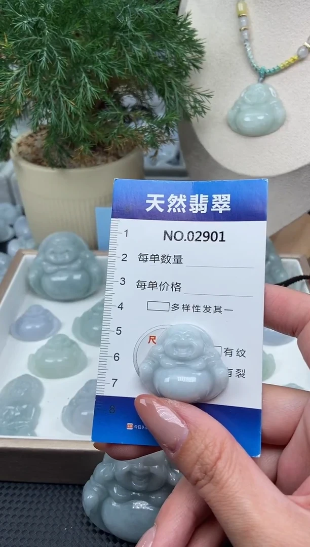 颈饰未镶嵌翡翠纯天然A货翡翠2901