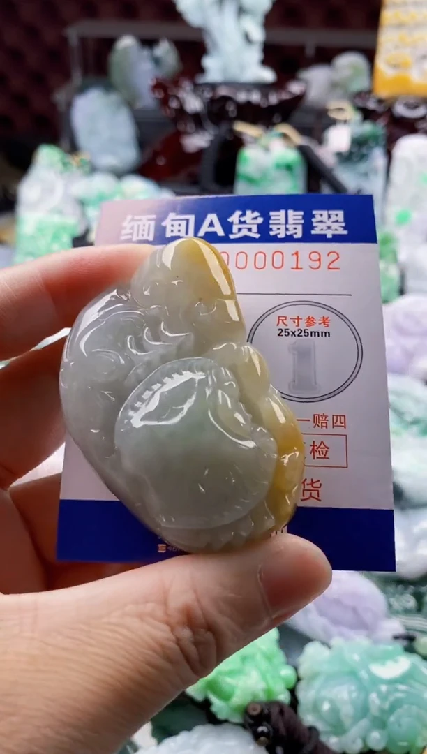 翡翠未镶嵌吊坠(不含链)1