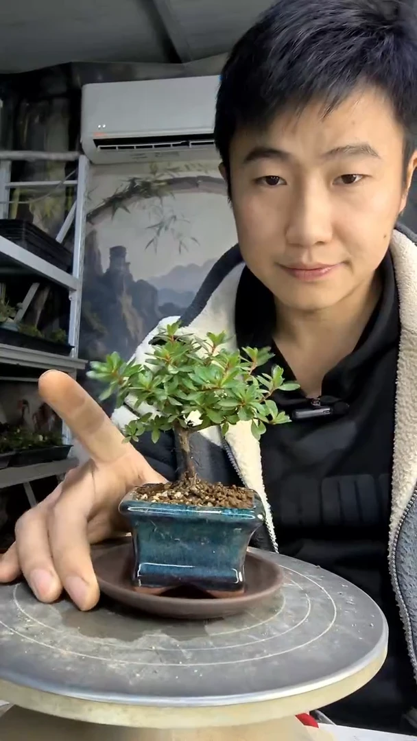 蒋*中青园艺一物一拍78