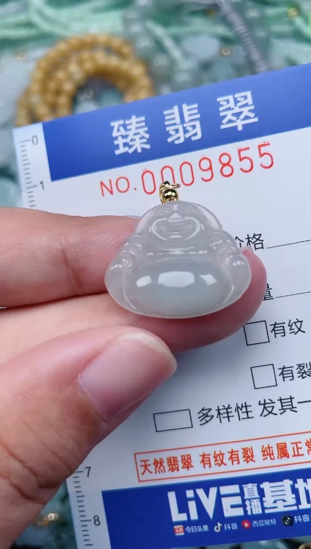 翡翠未镶嵌颈饰.0009855