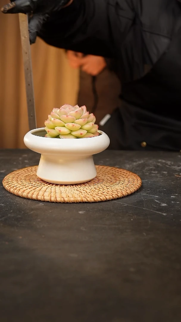 【闪购商品】瓷片泥泥手工花盆