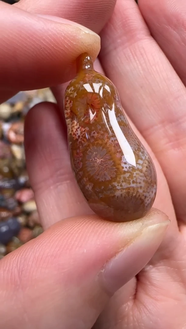 硅化珊瑚（珊瑚玉）未镶嵌颈饰341