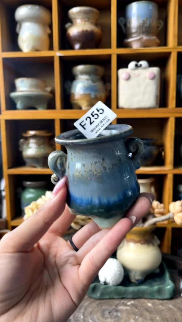 255内口4【多肉花盆多肉盆】