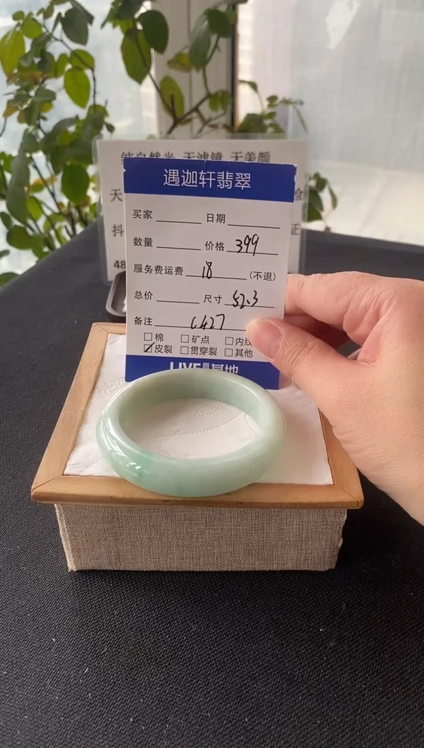 未镶嵌手镯翡翠52.5圈口 C427编码