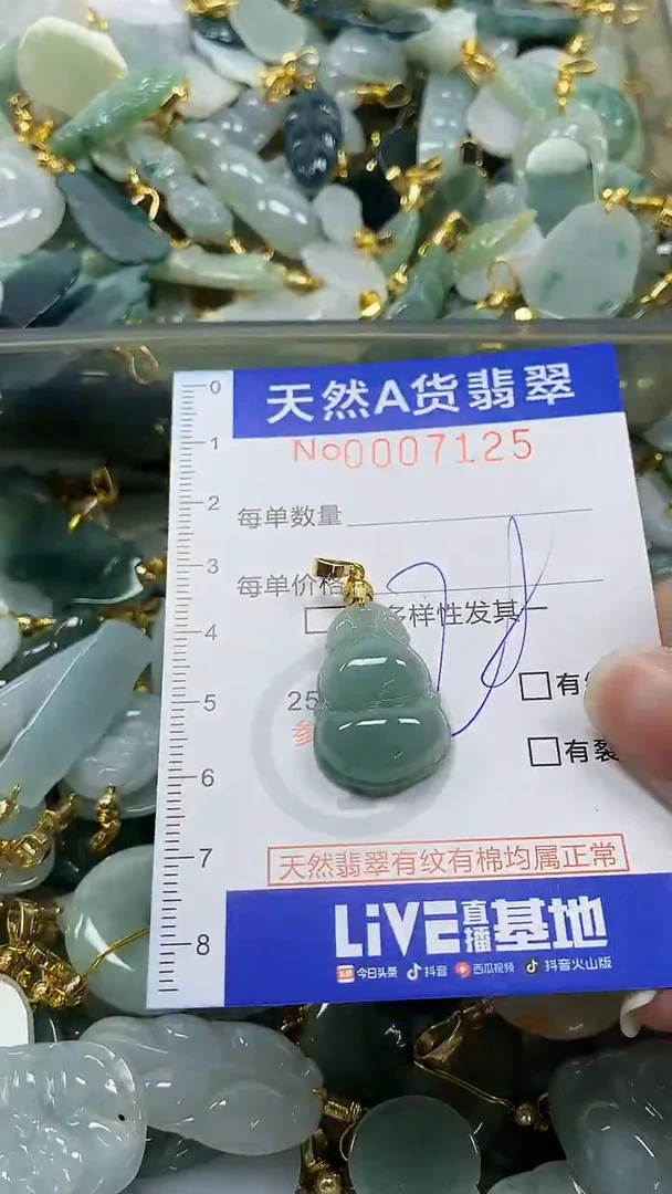 颈饰未镶嵌翡翠纯天然a货翡翠