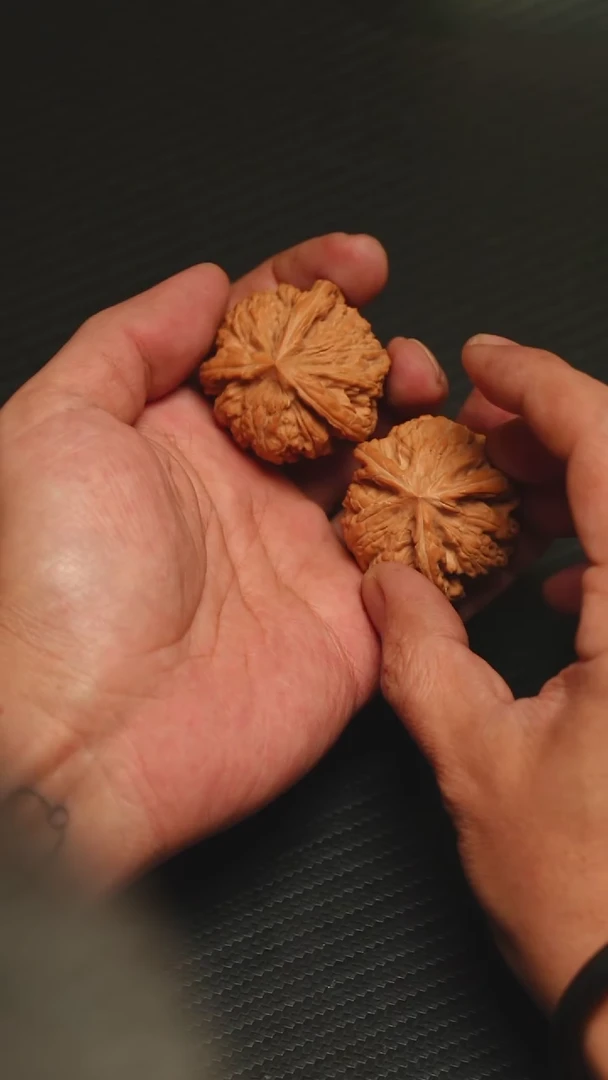 开播福利玉龙粗筋全品三棱40