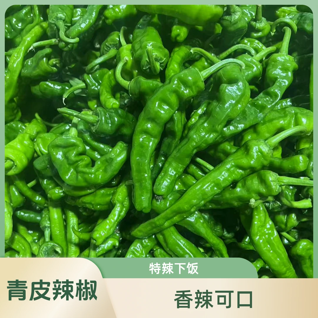 顺丰包邮 特辣小皱皮椒辣薄皮小辣椒薄皮青椒香辣下饭土辣椒3斤5斤新鲜