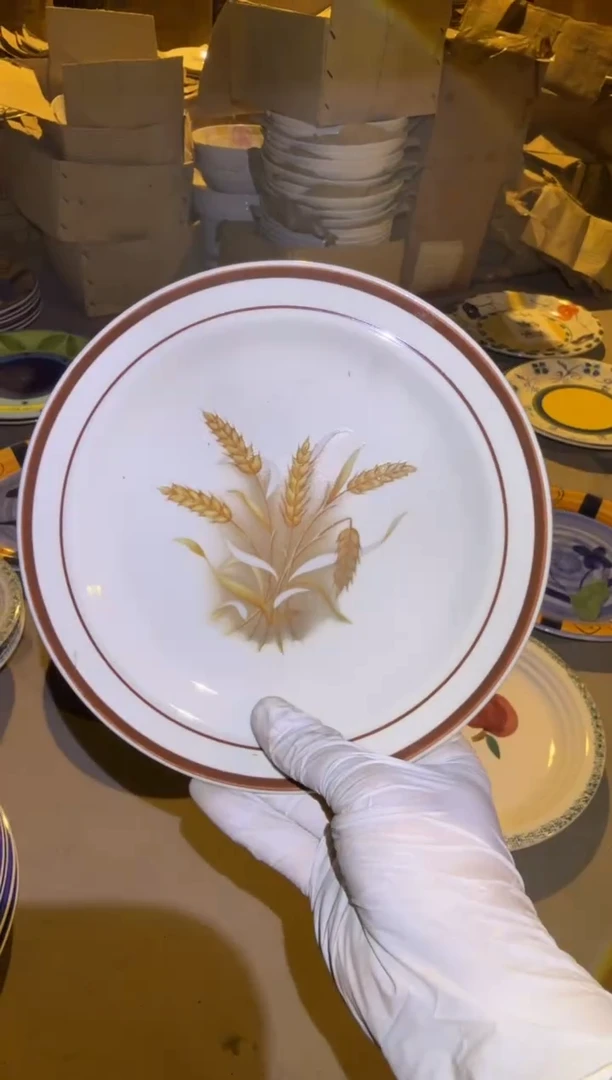 瓷片微瑕完美勿拍 买到就是赚到