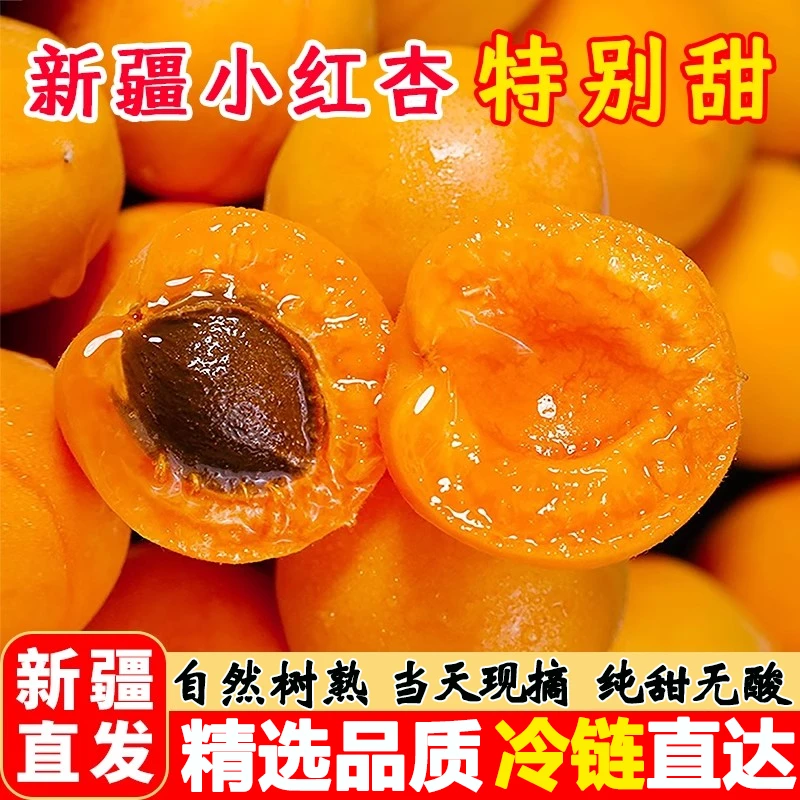 正宗新疆小红杏子吊干杏当季现摘孕妇水果