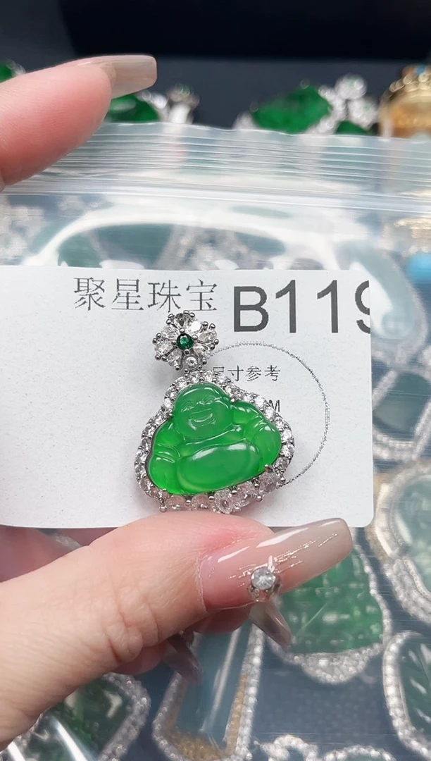 【闪购商品】翡翠颈饰未镶嵌赠皮绳119