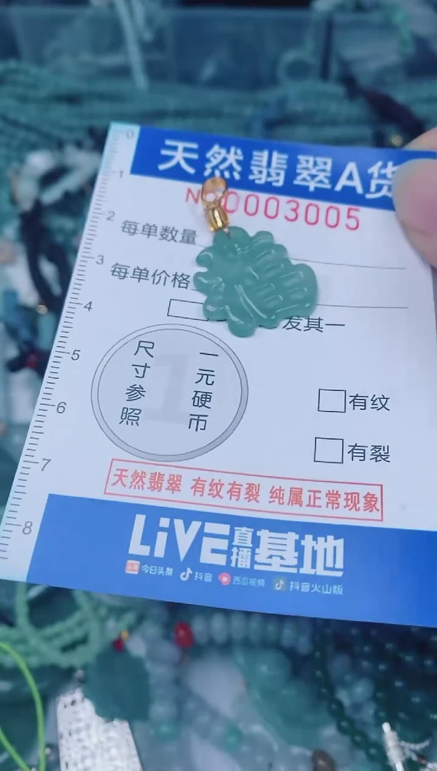 颈饰未镶嵌翡翠00003005