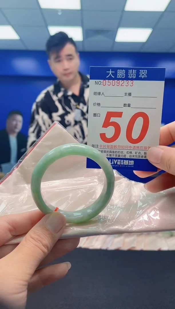 未镶嵌手镯翡翠$AAAAAAAAA