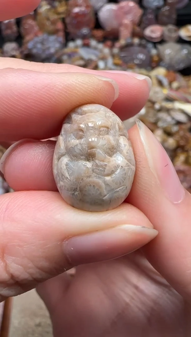 颈饰未镶嵌硅化珊瑚（珊瑚玉）052