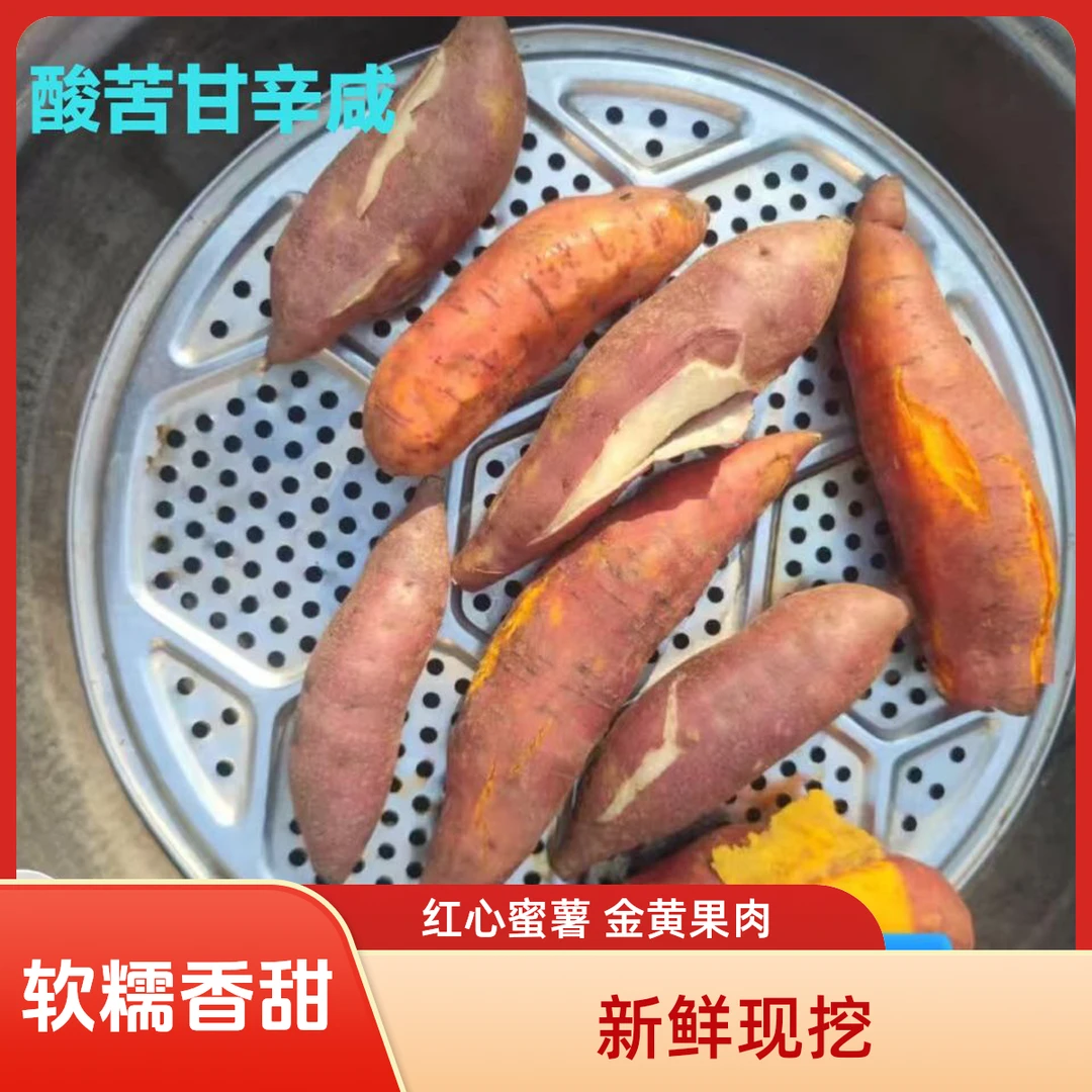 西瓜红黄土地新鲜现挖超甜红心蜜薯软糯香甜红薯