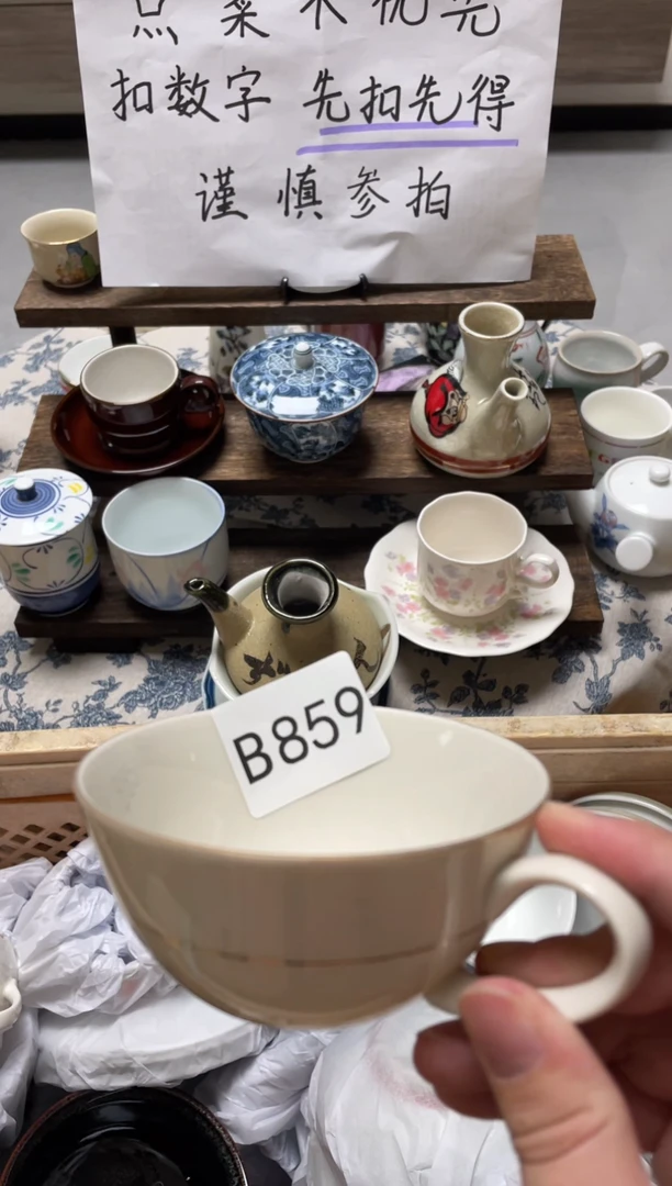 【闪购商品】瓷器瓷器瓷器瓷器B859