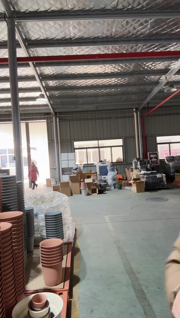 【闪购商品】塑料AW6 混色10只装无托